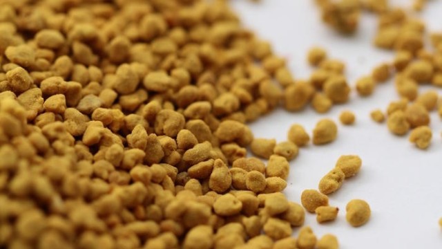 蜂花粉為什么要干燥處理？自然干燥的方法有哪些？