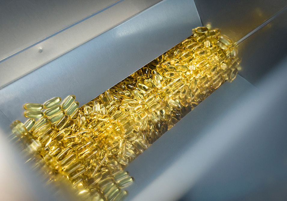 張掖蜂王胎凍干粉：大自然的瑰寶，健康的選擇