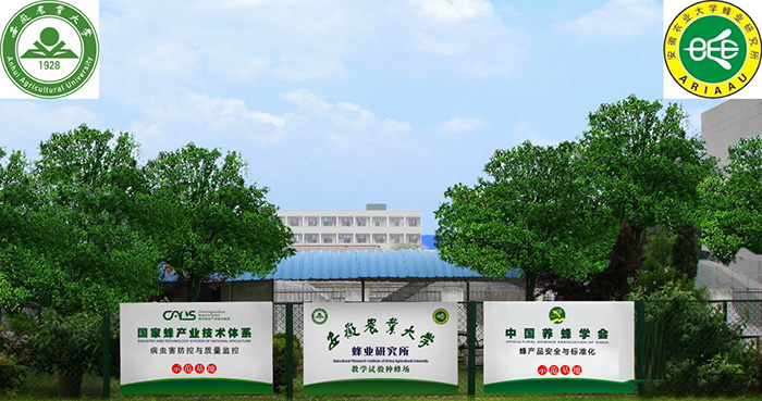 1665480149169419.jpg 6.jpg