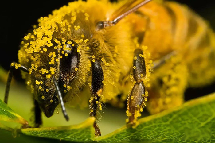 1665480367769901.jpg 11.jpg